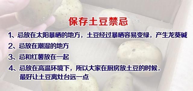 土豆發芽了還能吃嗎？剛發芽的土豆可以吃嗎